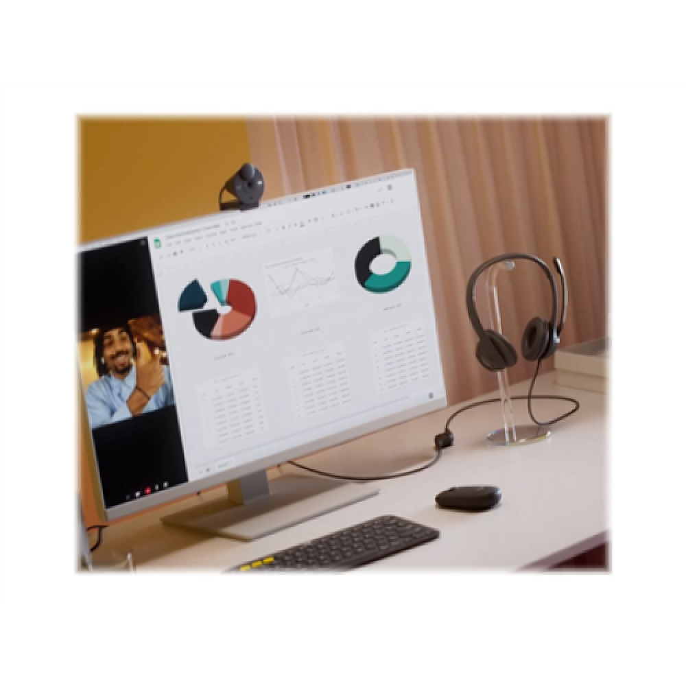 Logitech , Computer headset , H390 , Built-in microphone , USB Type-A , Black