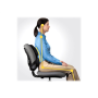 Professional back support - Professional Series , Depth 55 mm , Height 365 mm , High-density foam , Width 375 mm