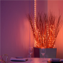 Twinkly Dots Smart LED 400 RGB, 20m, Black wire,Multicolor