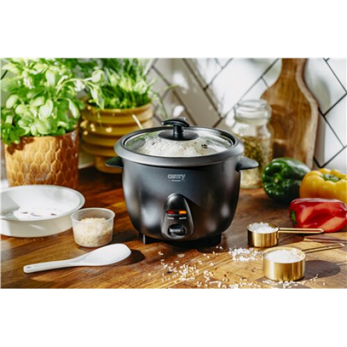 Camry Rice Cooker , CR 6419 , 400 W , 1 L , Number of programs 2 , Black