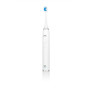 ETA , Sonetic Toothbrush , ETA570790000 , Rechargeable , For adults , Number of brush heads included 3 , Number of teeth brushing modes 4 , Sonic technology , White