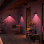 Philips Hue WCA Resonate Outdoor Downward Wall Lantern, Black , 8 W , 2000-6500 Hue White Colour Ambiance