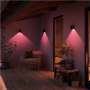 Philips Hue WCA Resonate Outdoor Downward Wall Lantern, Black , 8 W , 2000-6500 Hue White Colour Ambiance