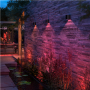 Philips Hue WCA Resonate Outdoor Downward Wall Lantern, Black , 8 W , 2000-6500 Hue White Colour Ambiance