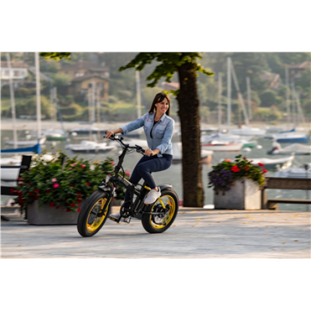 Argento Minimax, City E-Bike, Motor power 250 W, Wheel size 20 , Warranty 24 month(s), Yellow