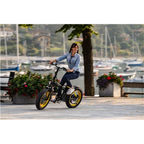 Argento Minimax, City E-Bike, Motor power 250 W, Wheel size 20 , Warranty 24 month(s), Yellow