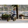 Argento Minimax, City E-Bike, Motor power 250 W, Wheel size 20 , Warranty 24 month(s), Yellow