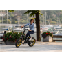 Argento Minimax, City E-Bike, Motor power 250 W, Wheel size 20 , Warranty 24 month(s), Yellow