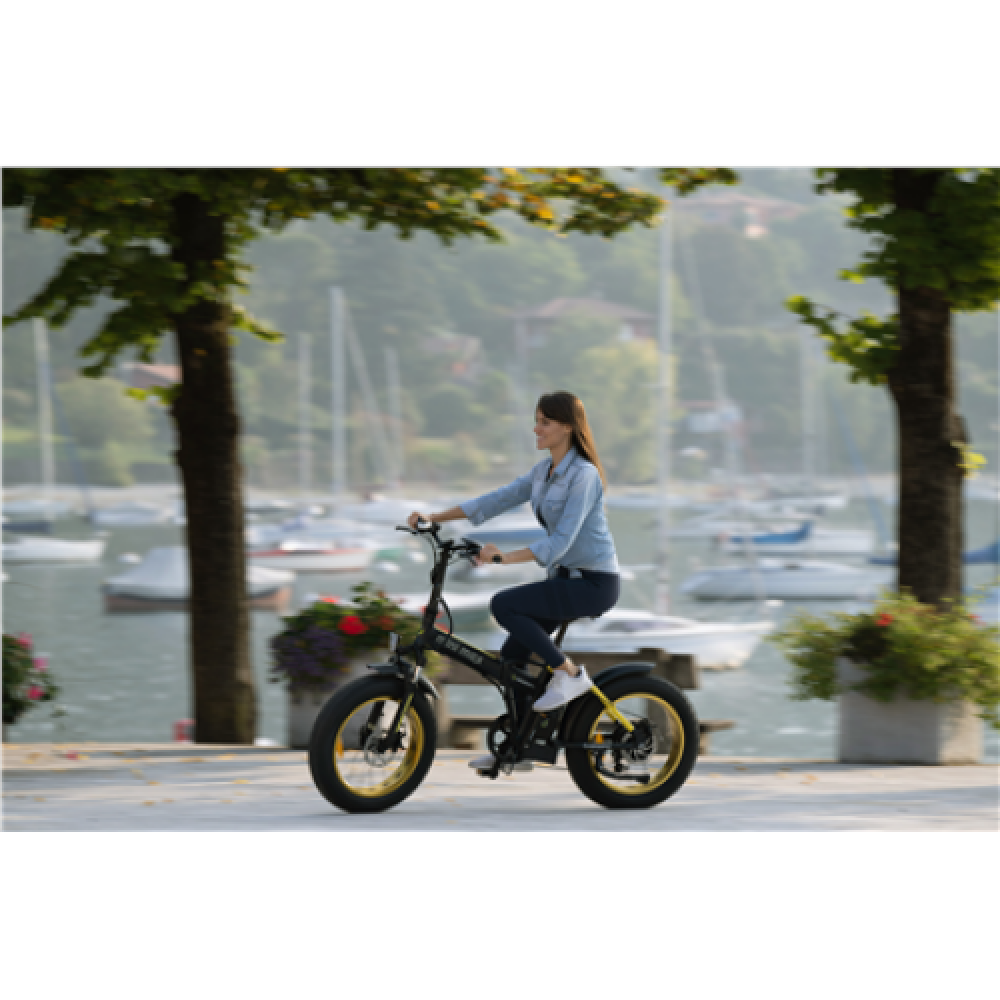 Argento Minimax, City E-Bike, Motor power 250 W, Wheel size 20 , Warranty 24 month(s), Yellow