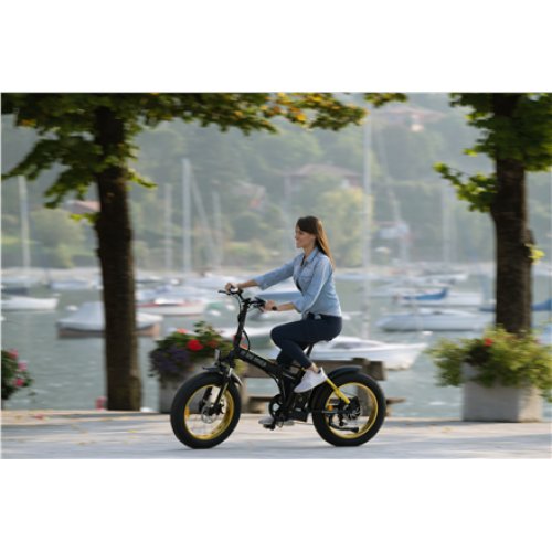 Argento Minimax, City E-Bike, Motor power 250 W, Wheel size 20 , Warranty 24 month(s), Yellow