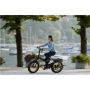 Argento Minimax, City E-Bike, Motor power 250 W, Wheel size 20 , Warranty 24 month(s), Yellow