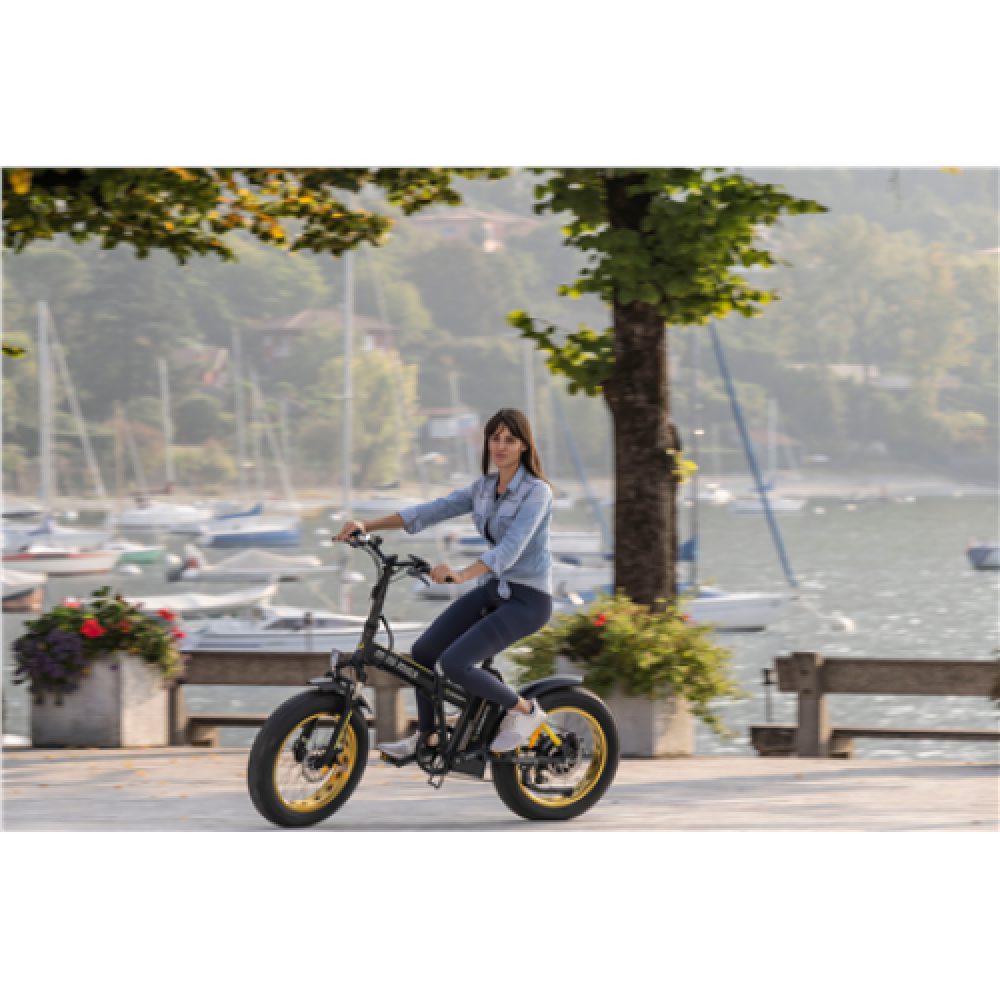 Argento Minimax, City E-Bike, Motor power 250 W, Wheel size 20 , Warranty 24 month(s), Yellow
