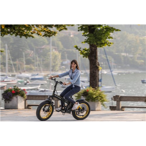 Argento Minimax, City E-Bike, Motor power 250 W, Wheel size 20 , Warranty 24 month(s), Yellow