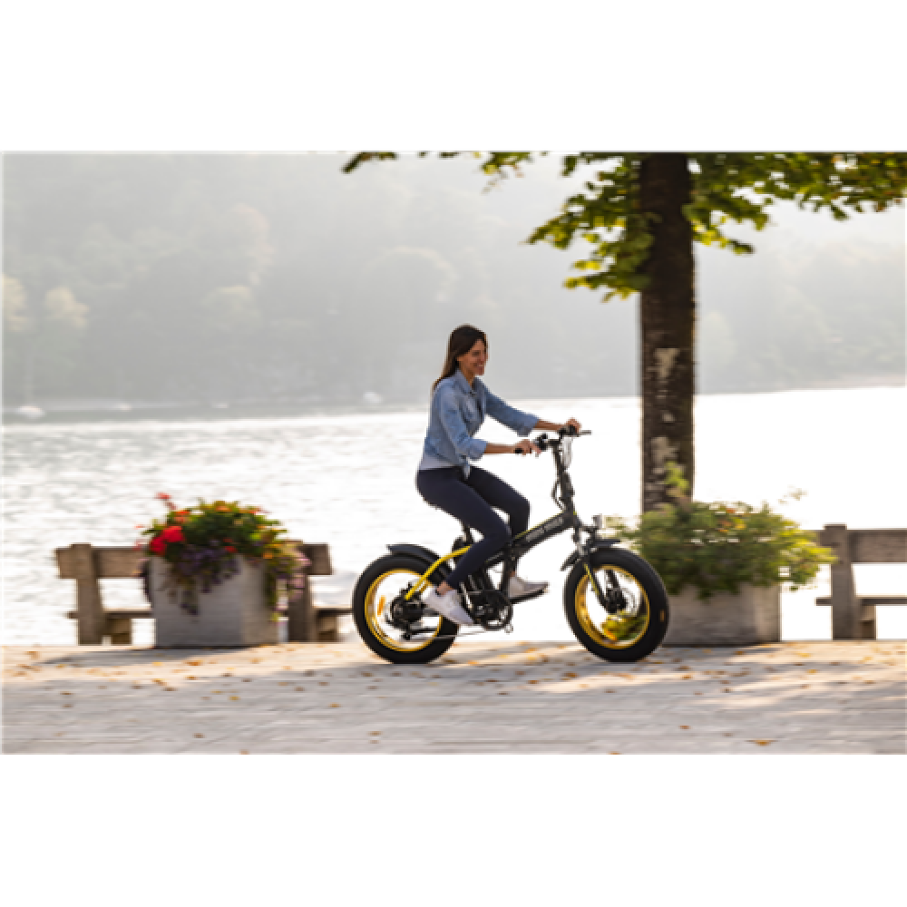 Argento Minimax, City E-Bike, Motor power 250 W, Wheel size 20 , Warranty 24 month(s), Yellow