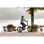 Argento Minimax, City E-Bike, Motor power 250 W, Wheel size 20 , Warranty 24 month(s), Yellow