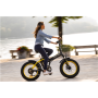 Argento Minimax, City E-Bike, Motor power 250 W, Wheel size 20 , Warranty 24 month(s), Yellow