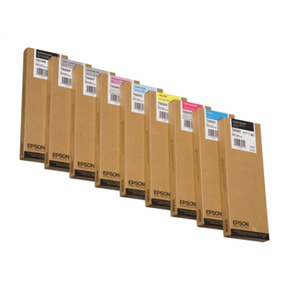 Epson T606700 , Ink Cartridge , Light Black