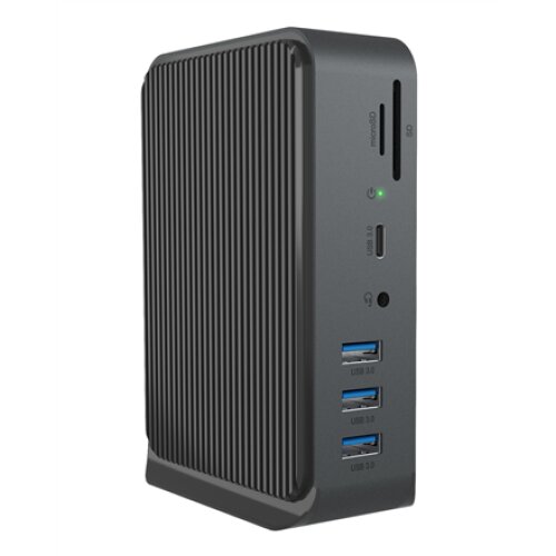 Raidsonic Icy Box 13-in-1 USB Type-C and Type-A dock with dual video output IB-DK2261AC