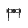 Neomounts Wall mount , WL30-750BL16 Heavy duty wall mount , Adjustable Height , 42-86 , Maximum weight (capacity) 125 kg , Black