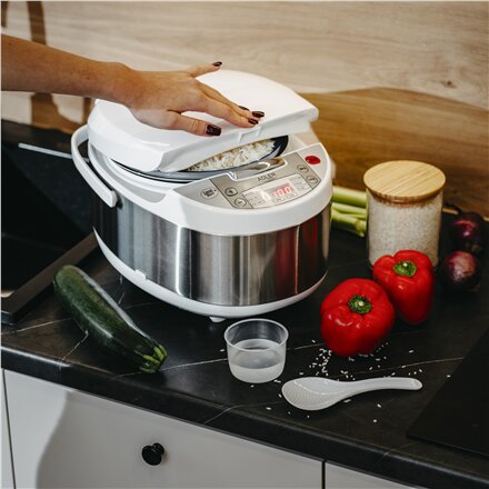Adler Multicooker 6 in 1 , AD 6420 , 700 W , 3.25 L , Number of programs 6