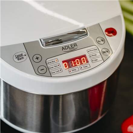 Adler Multicooker 6 in 1 , AD 6420 , 700 W , 3.25 L , Number of programs 6
