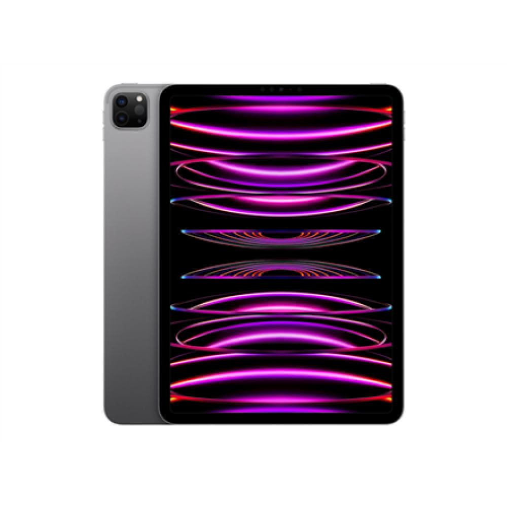 iPad Pro 11 Wi-Fi 2TB - Space Gray 4th Gen , Apple