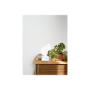 google , Nest Hub 2nd Generation , GA01331-IT , 7 , Chalk , Wi-Fi , Bluetooth