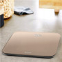 TEFAL PP1900V0 Classic , Bathroom Scale , Maximum weight (capacity) 180 , Accuracy 100 , Dune Metal