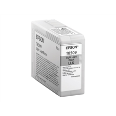 Epson T850900 , Ink Cartridge , Light Black