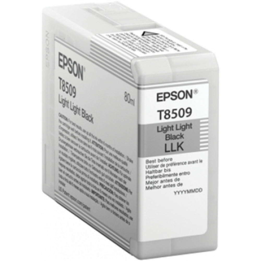 Epson T850900 , Ink Cartridge , Light Black