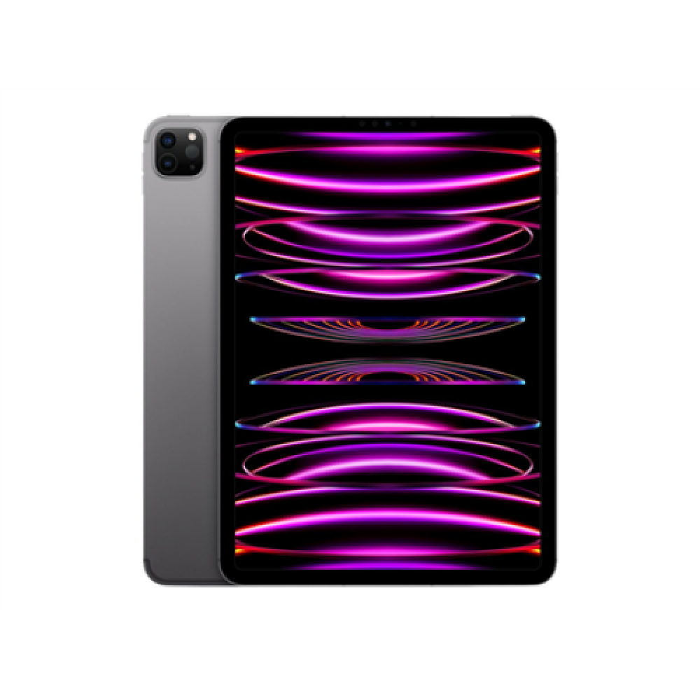 iPad Pro 11 Wi-Fi + Cellular 2TB - Space Gray 4th Gen Apple