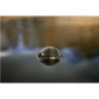 Deeper Smart Sonar Chirp+3 , Sonar , Wi-Fi , Brown Green