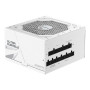 Gigabyte Power Supply, 80 PLUS Gold , UD850GM PG5 V2 ICE , 850 W