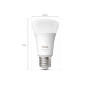 Philips Hue WCA 1100 A60 1P EU , E27 , 8.1 W , White and colour light , Bluetooth and Zigbee