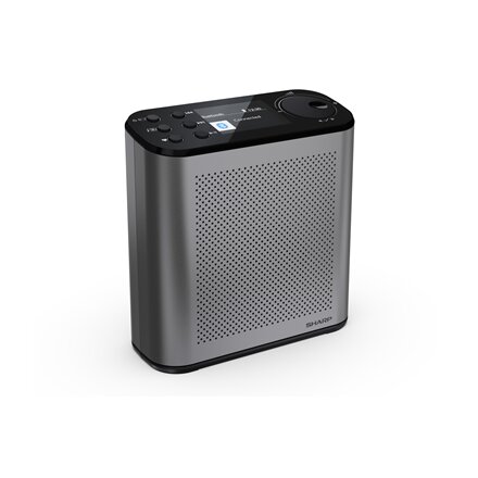 Sharp OSAKA Portable Digital Radio , DR-P530(GY) , USB port , Bluetooth , FM radio , Wireless connection