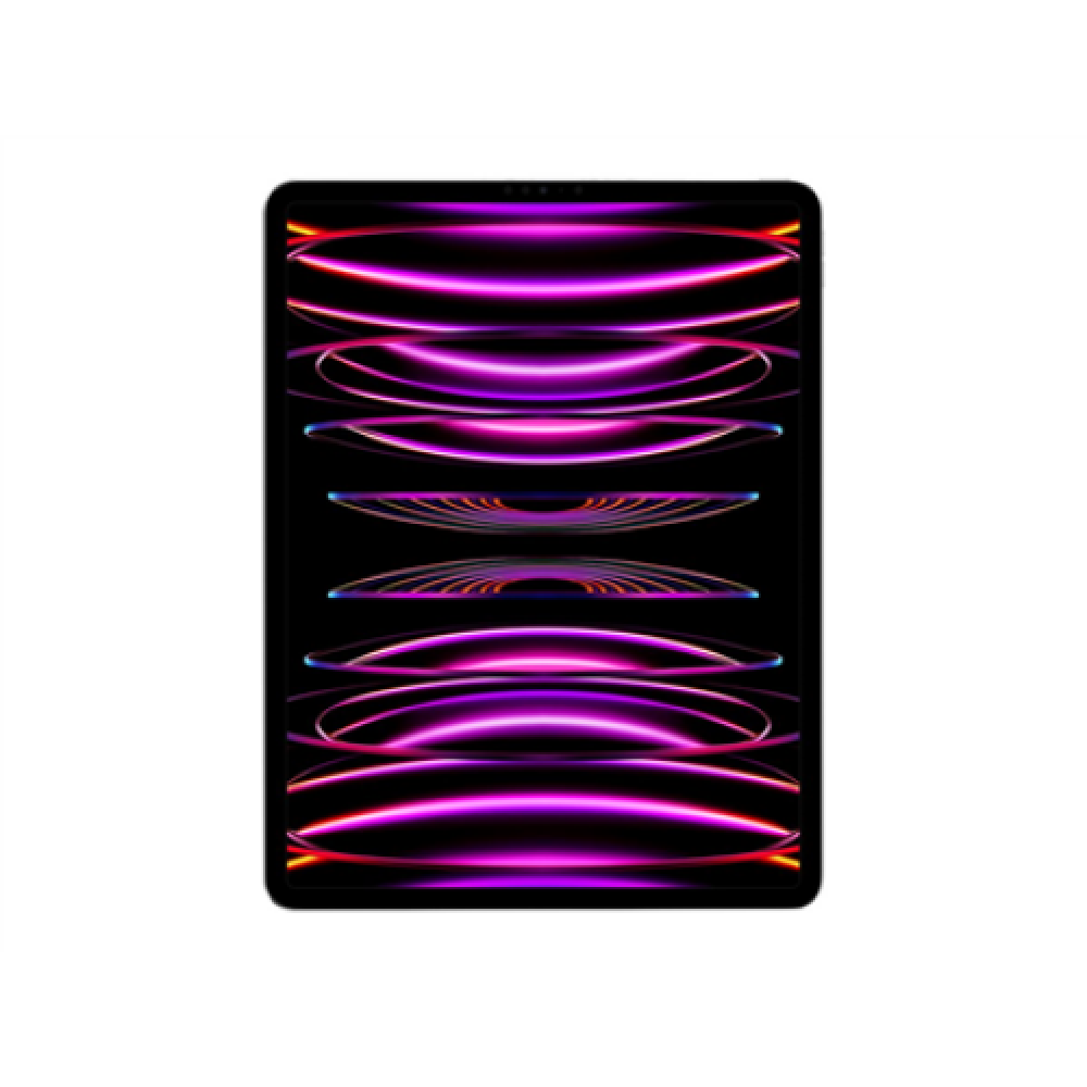 iPad Pro 12.9 Wi-Fi 2TB - Space Gray 6th Gen , Apple