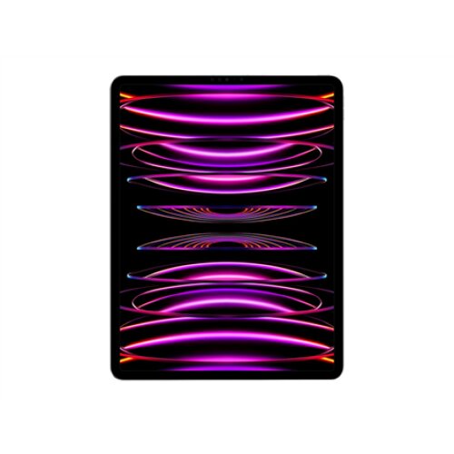 iPad Pro 12.9 Wi-Fi 2TB - Space Gray 6th Gen , Apple
