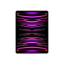 iPad Pro 12.9 Wi-Fi 2TB - Space Gray 6th Gen , Apple