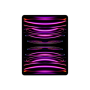 iPad Pro 12.9 Wi-Fi 2TB - Space Gray 6th Gen , Apple