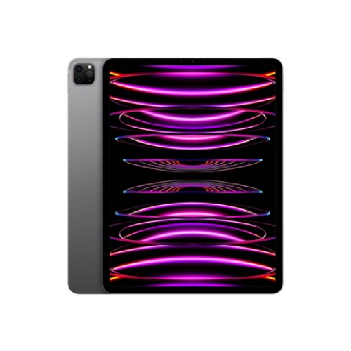 iPad Pro 12.9 Wi-Fi 2TB - Space Gray 6th Gen , Apple