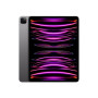 iPad Pro 12.9 Wi-Fi 2TB - Space Gray 6th Gen , Apple