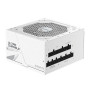Gigabyte Power Supply , UD1000GM PG5 V2 ICE , 1000 W