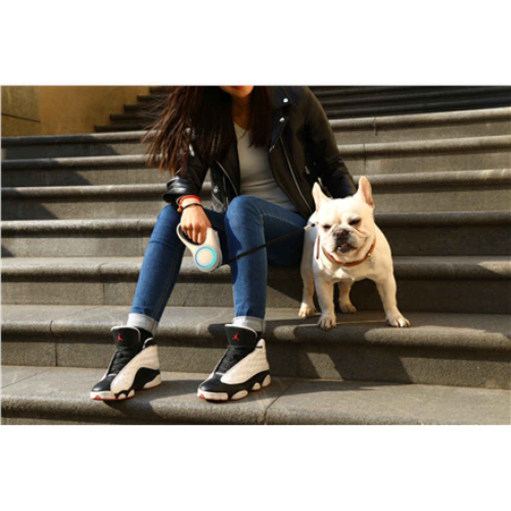 PETKIT , Pet Leash , P2101 GO Shine , White