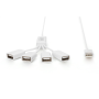 Digitus , USB 2.0 Cable Hub, 4-Port 4x USB A/F, 1x USB A male, DC2.5mm (PSU not incl.) , DA-70216
