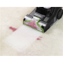 Bissell , PowerWash Pet, Upright Carpet and Upholstery Cleaner , 3878N , Corded operating , Handstick , Washing function , 600 W , Black/Lime , Warranty 24 month(s)
