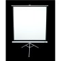 Elite Screens , Tripod Series , T113NWS1 , Diagonal 113 , 1:1 , Viewable screen width (W) 203 cm , White