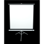 T113NWS1 , Tripod Series , Diagonal 113 , 1:1 , Viewable screen width (W) 203 cm , White