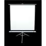 Elite Screens , Tripod Series , T113NWS1 , Diagonal 113 , 1:1 , Viewable screen width (W) 203 cm , White