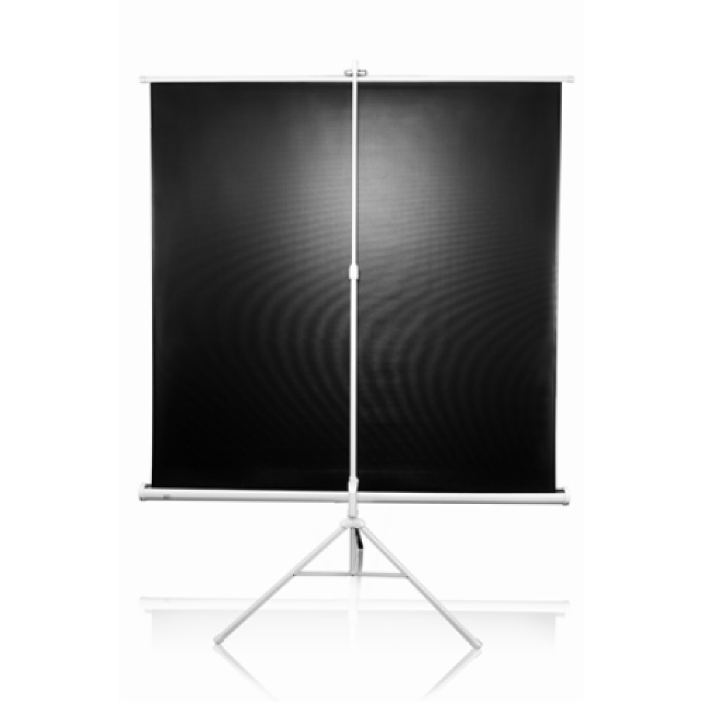 Elite Screens , Tripod Series , T113NWS1 , Diagonal 113 , 1:1 , Viewable screen width (W) 203 cm , White
