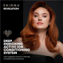 Revamp Professional hair dryer with brushless motor , Revamp